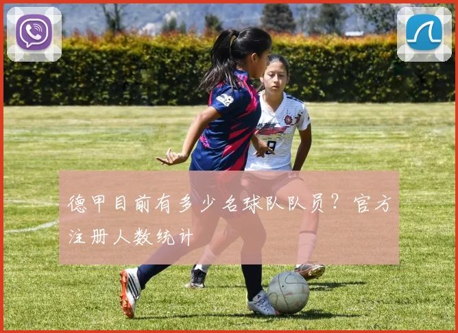 德甲目前有多少名球队队员？官方注册人数统计