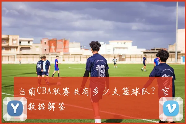 当前CBA联赛共有多少支篮球队？官方数据解答