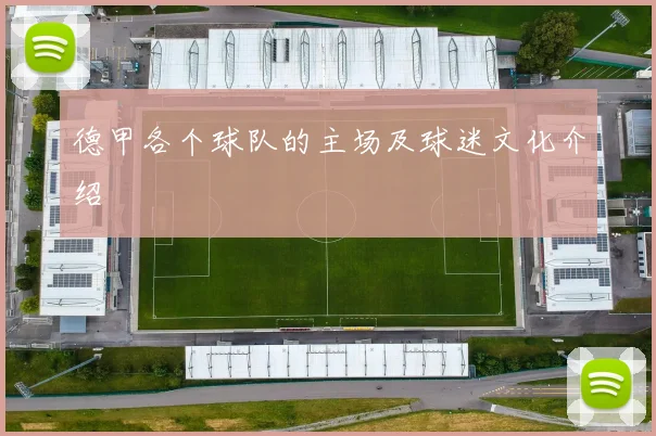 德甲各个球队的主场及球迷文化介绍
