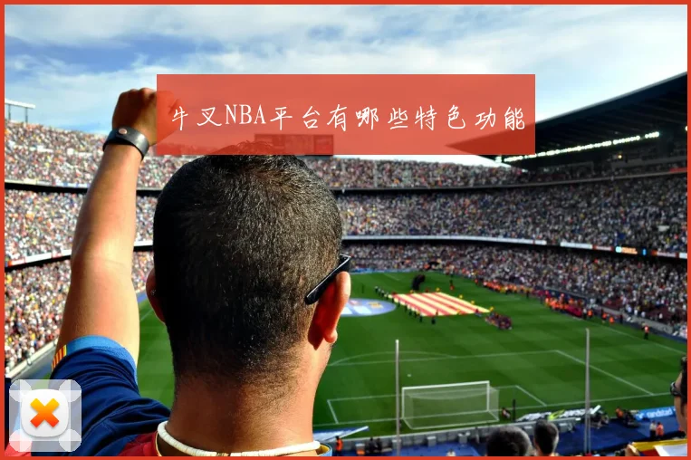 牛叉NBA平台有哪些特色功能