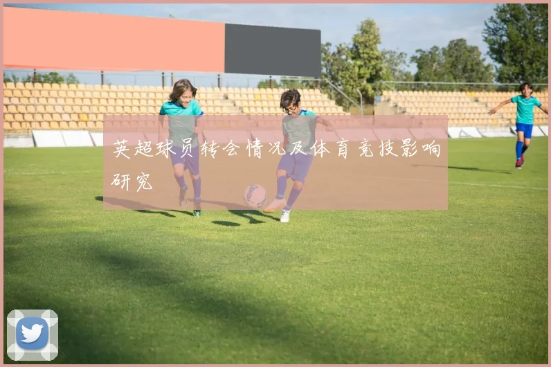 英超球员转会情况及体育竞技影响研究