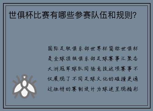 世俱杯比赛有哪些参赛队伍和规则？